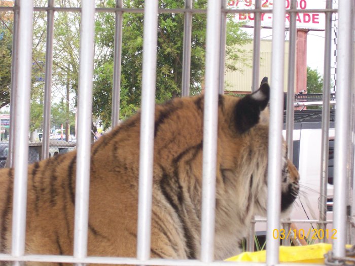 2012-Mar-10HGR4X4_4Wheelparts 017